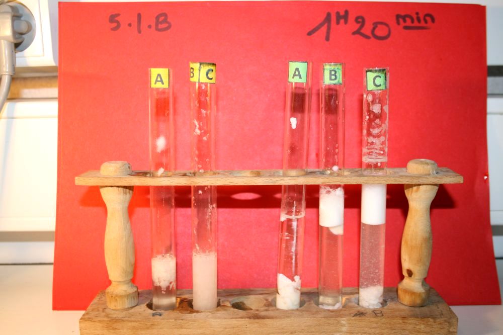 gal/LES_CINQUIEMES/ACTIVITE DIGESTION IN VITRO/Groupe_03/Groupe03_t_01h20min/Groupe03_temps01H20min_5.jpg